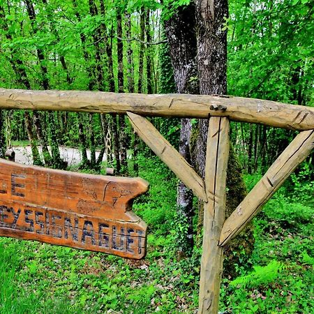 Les Deux Moiselles - Le Cheyssignaguet Bed & Breakfast La Chapelle-Aubareil Екстериор снимка